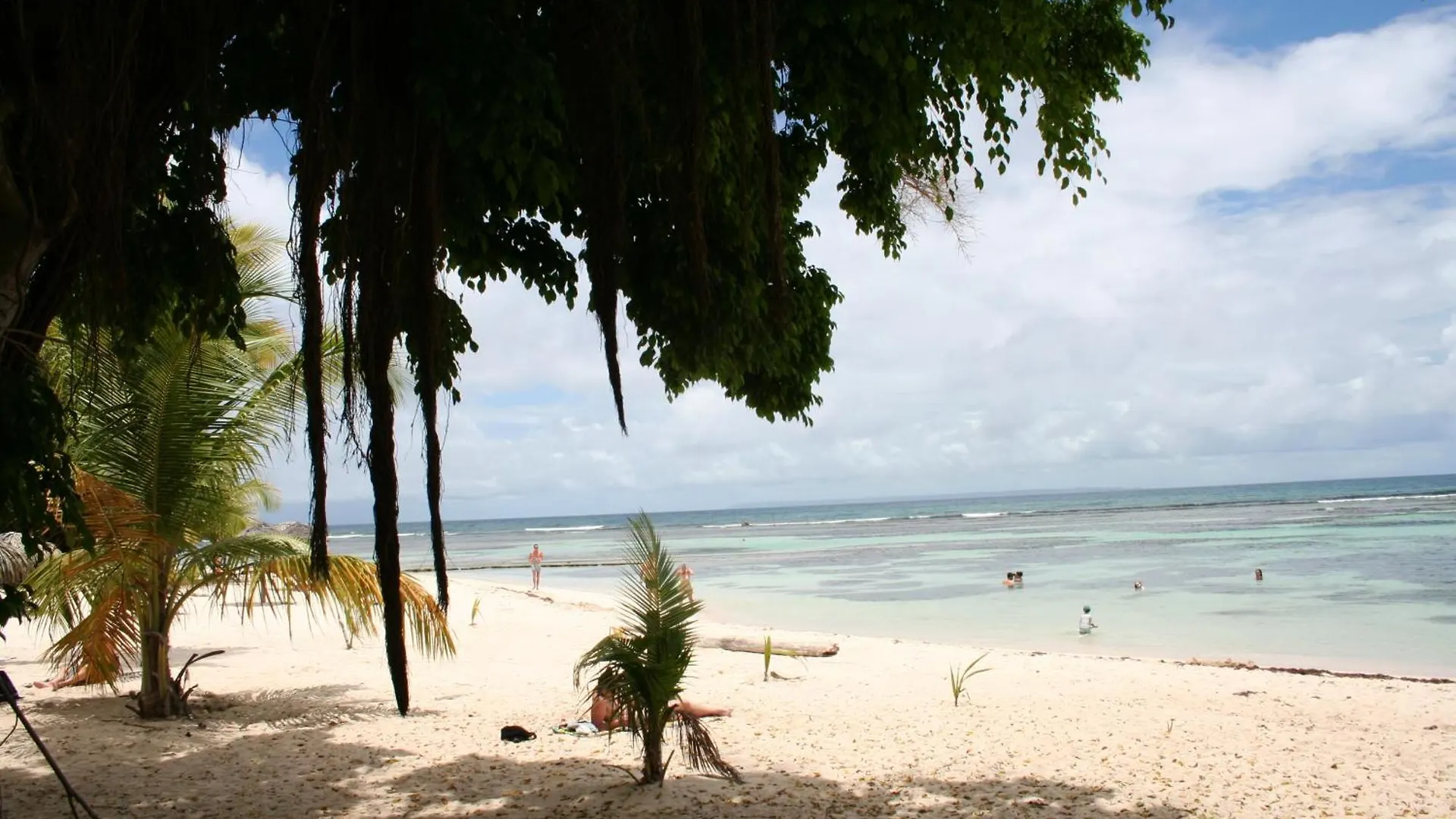 Anse Des Rochers Studio Acces Au Lagon Saint-Francois  Guadeloupe