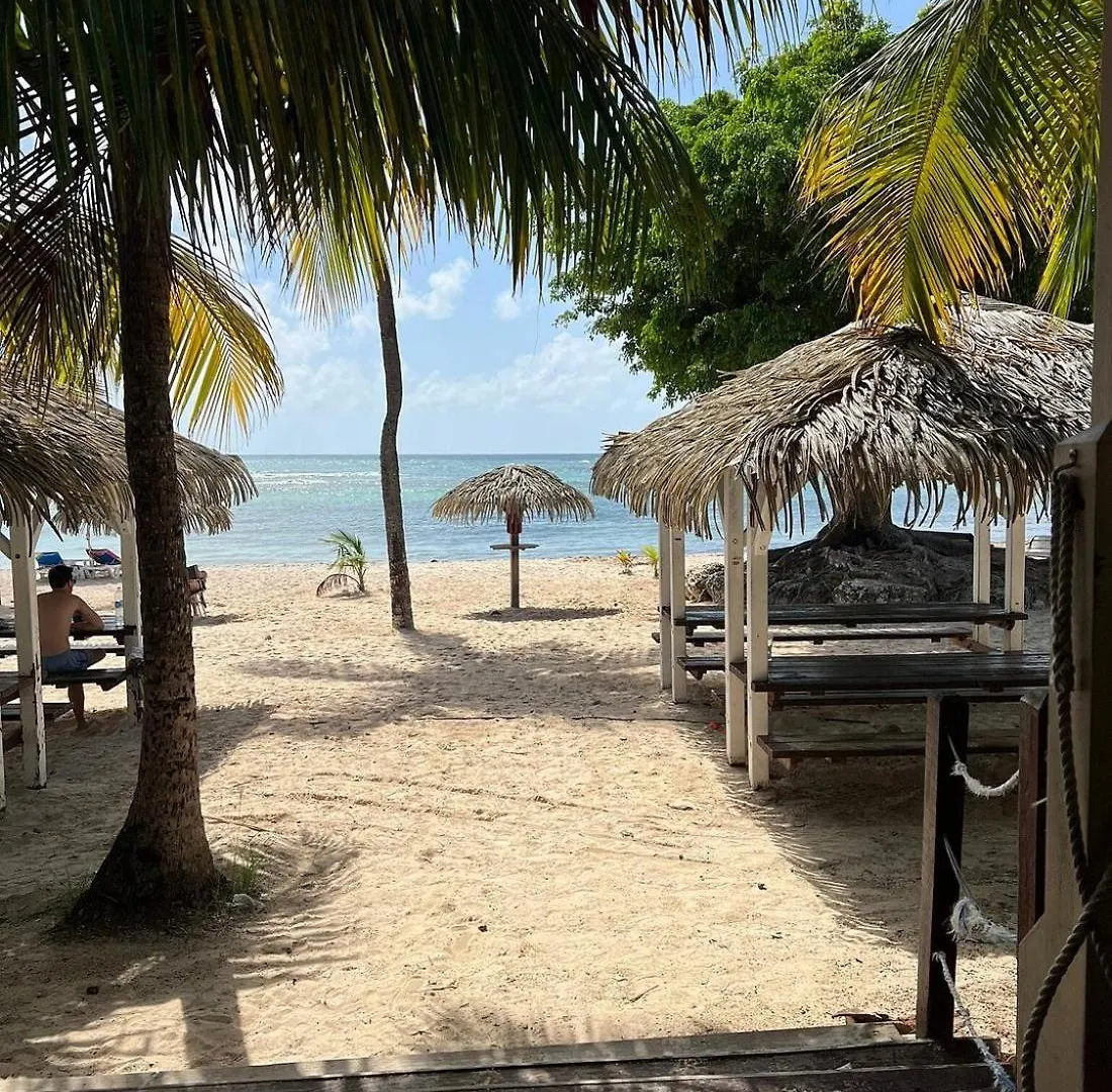 Anse Des Rochers Studio Acces Au Lagon Saint-Francois  Apartment